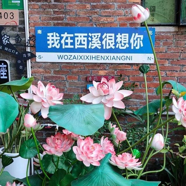 ✨東莞~小麗江~西溪古村✨