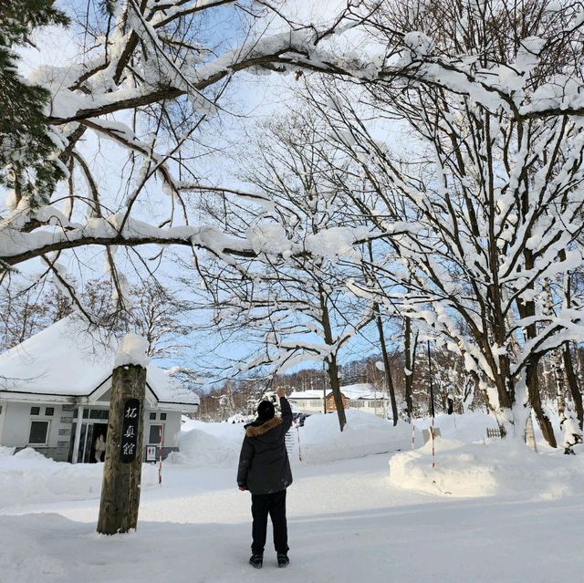 겨울 설경에 취하고 싶다면 비에이 흰수염폭포