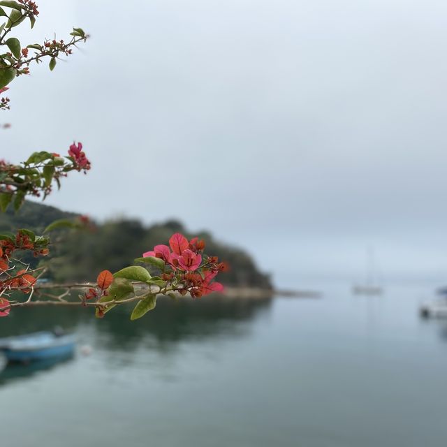 Duck Neck Island 🦆:  A day trip to Kat O & Ap Chau Islands 