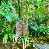 ทานข้าวกลางป่าใหญ่ ที่ร้านอาหารตำนานป่า ระยอง 🏕️