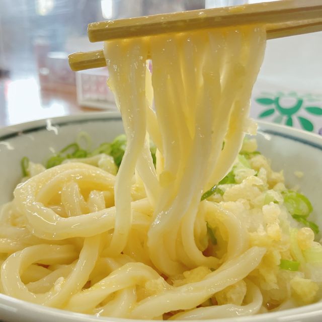 【香川】つるつるしこしこ讃岐うどん