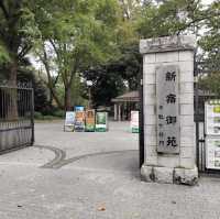【東京観光】東京の癒しスポット🌳