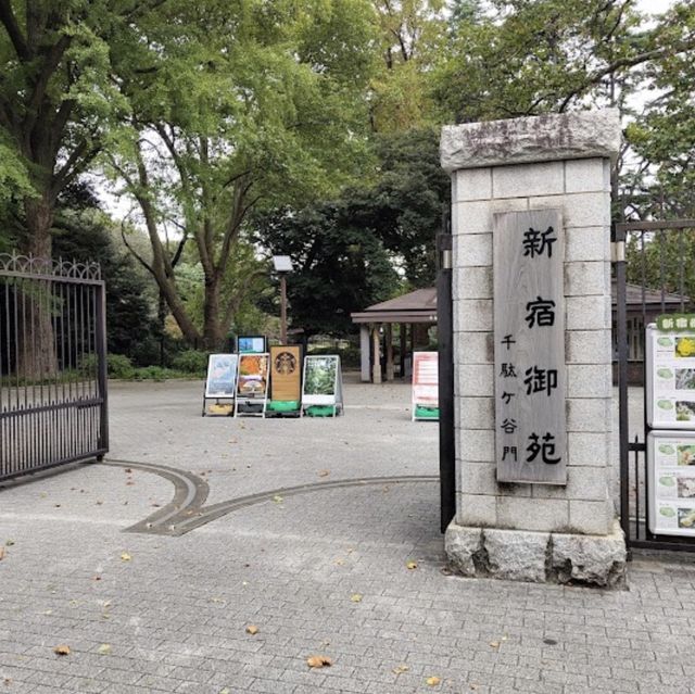 【東京観光】東京の癒しスポット🌳