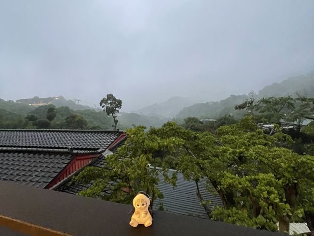 放鬆心情好去處🍵🍰一望無際的大自然境色！