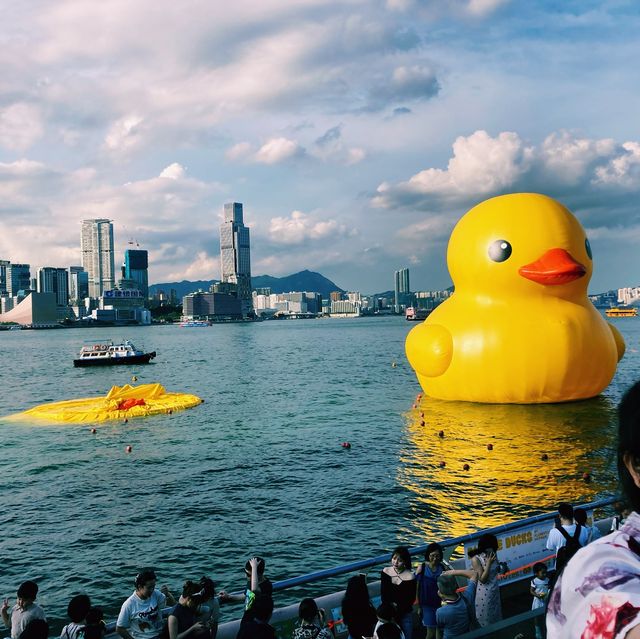 Double Ducks in Hong Kong 🐤🐤