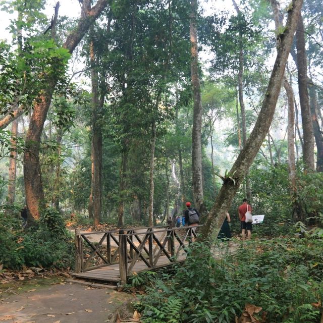 Kuang Si Waterfall: Nature's masterpiece unveiled