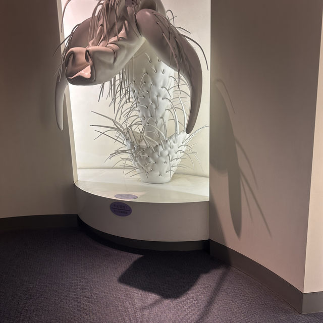 【臺中北區】自然科學館：多展區，立體電影，適合全家一日遊【8/10】