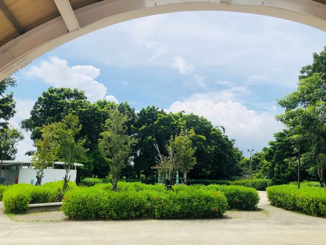 嘉義｜🐱🐈 Zaoan Park 民雄鄉早安公園 ♥️🌳