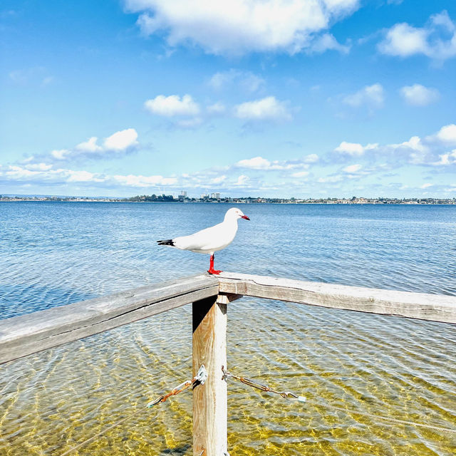 Riverside Arvo Walk! 💪🥺Riverside!🤩😎