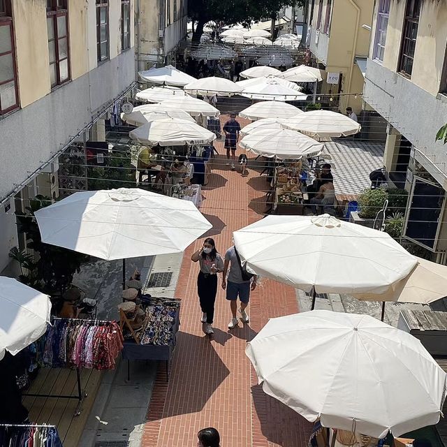 探索藝術的審計新村！🎨🏘️