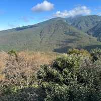 24h in Jeju - Hallasan mountain hike