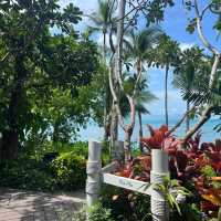 🏝️🌸 蘇梅島四季度假酒店～天堂之旅與四季奇遇 🌴🌺