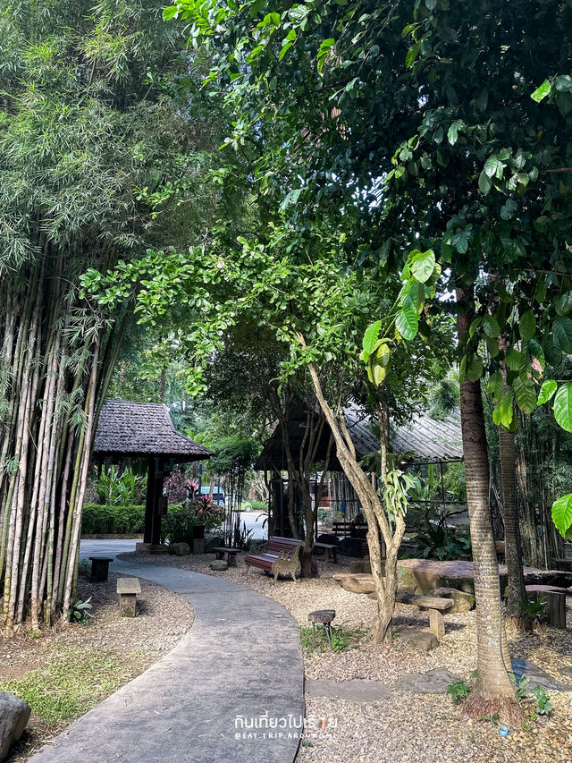 🌳จิบกาแฟที่ Horizon Harvest