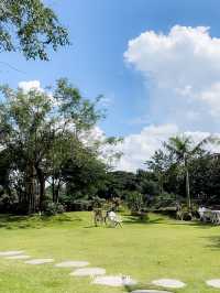 น่านริมน้ำ🌿 คาเฟ่ริมน้ำบรรยากาศดีในเมืองน่าน