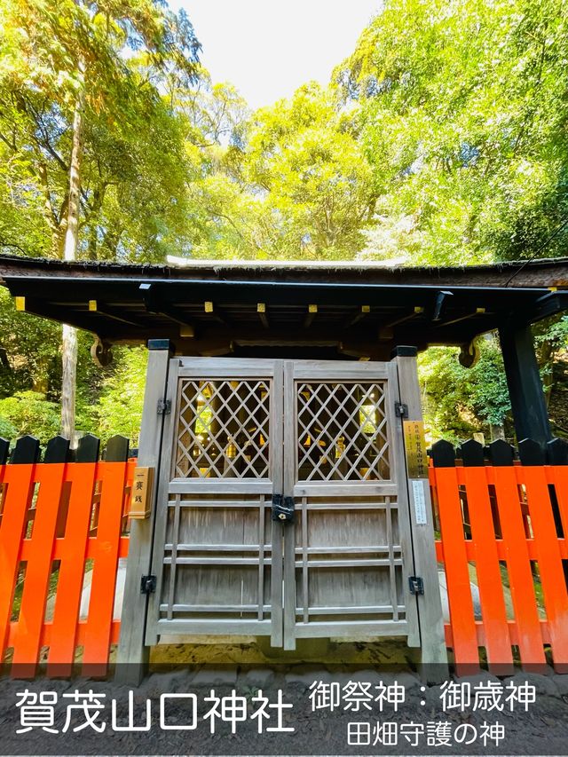 【京都府/賀茂別雷神社・摂末社】広大な境内
