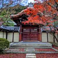 Eikan-dō Temple, fall is here!