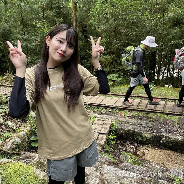 【屋久島】縄文杉トレッキングツアー
