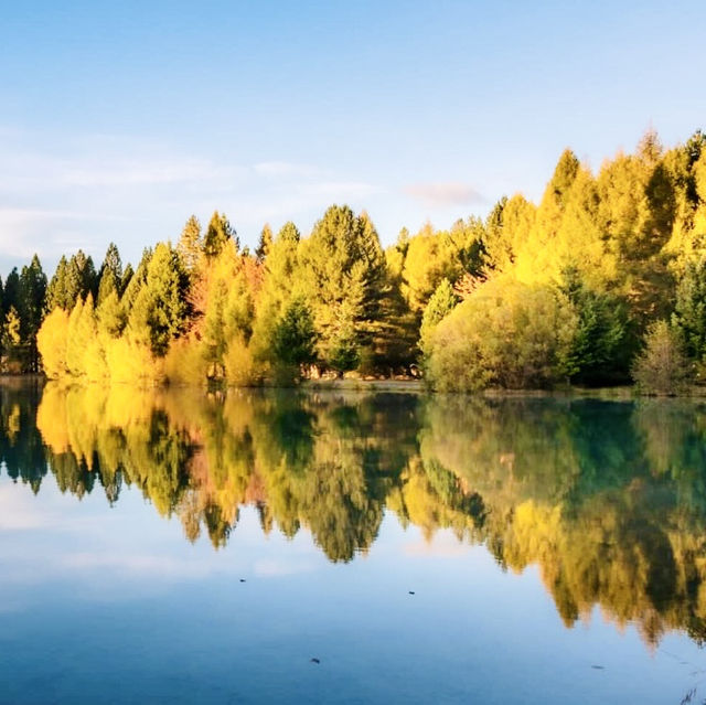 Fall in Twizel and the Mackenzie 