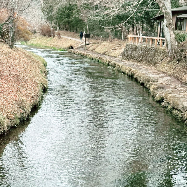 World Heritage: Oshino-Hakkai, Tokyo 🇯🇵