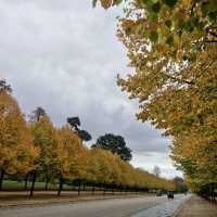 Autumn at Versailles 🍂✨