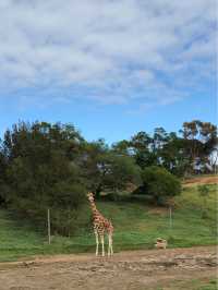 ウェロビー自然動物園／メルボルン