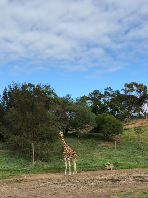 ウェロビー自然動物園／メルボルン