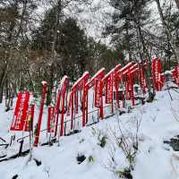 西の河原公園の雪景色〜群馬•草津