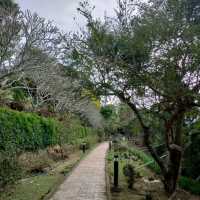 美麗的偶像劇景點-品園日式庭園