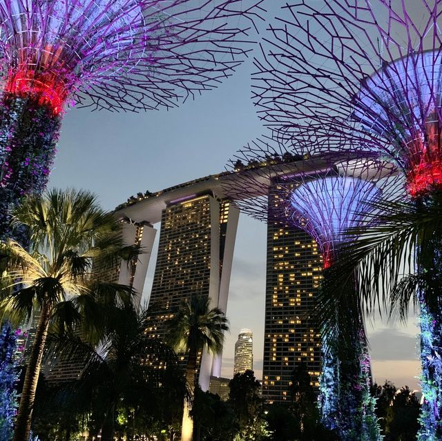 Supertree Grove~彷似走進阿凡達世界