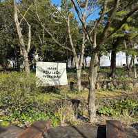 O'sulloc Tea Museum