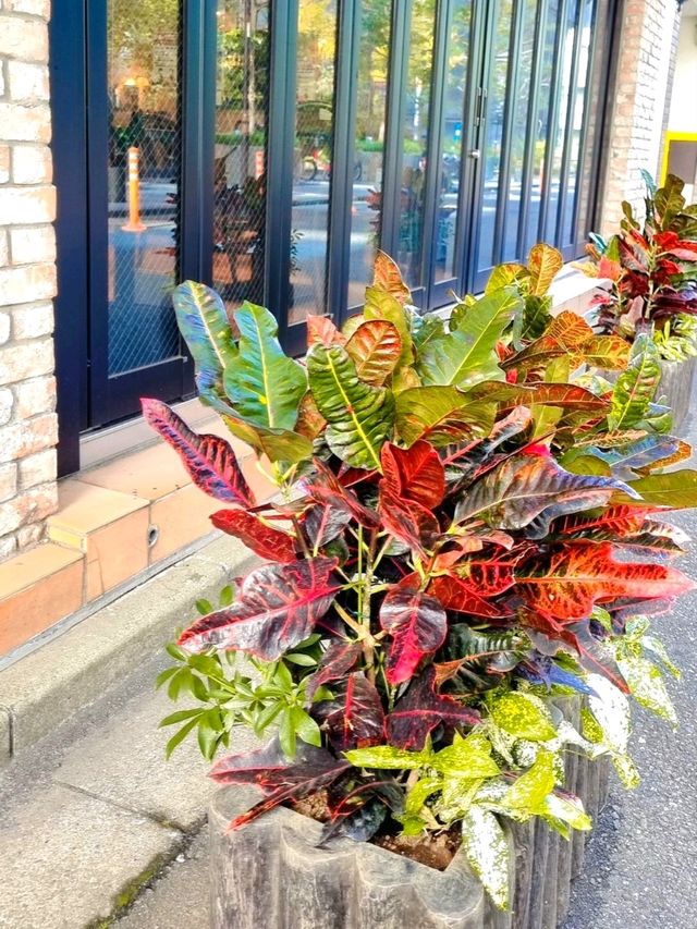 KADOYA HOTEL, SHINJUKU