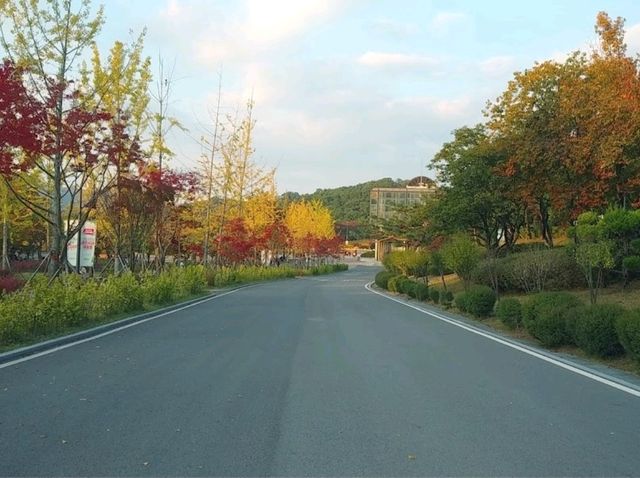 Massive park in seoul