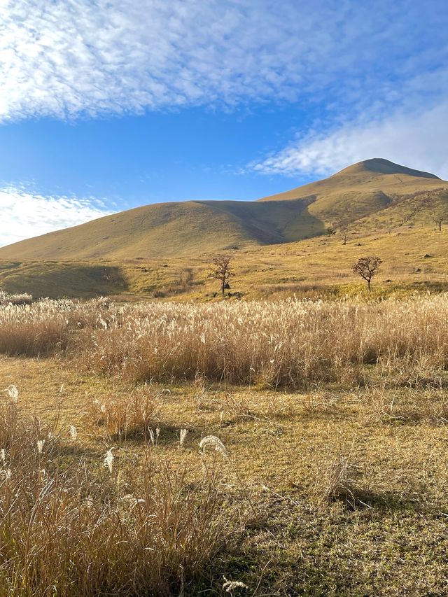 가을 느낌이 한 가득 느낄 수 있는 곳 “유후다케”⛰️