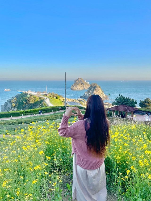 오륙도 해맞이공원 유채꽃밭, 봄과 여름에 가장 예쁜 곳 💚