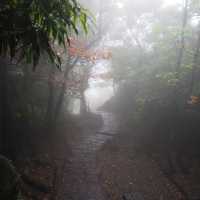 Yangmingshan: Lengshuikeng>>xiaoyoukeng trail