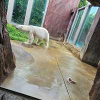 上野動物園～可愛熊貓包