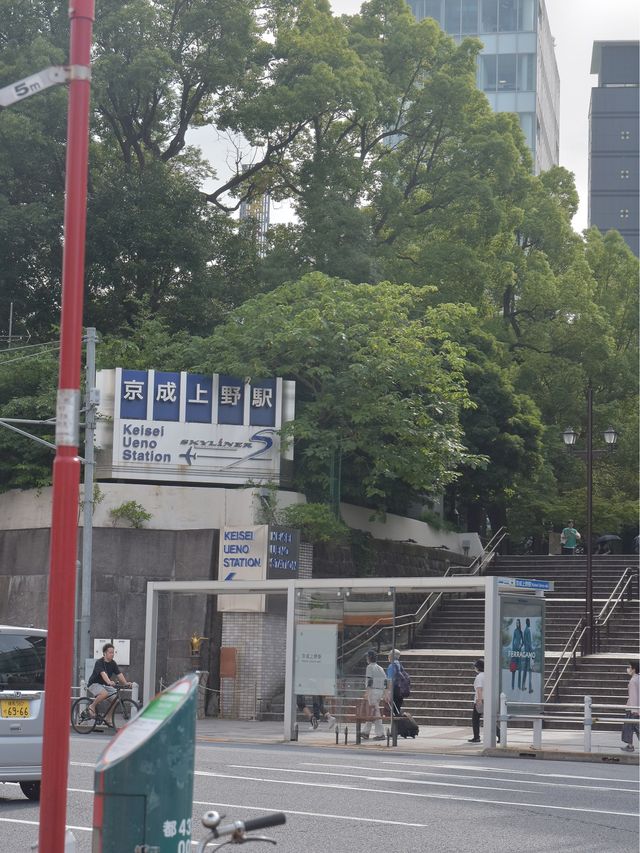 上野「成田空港から一本オススメ観光地」