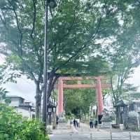 日本一長い参道@氷川神社