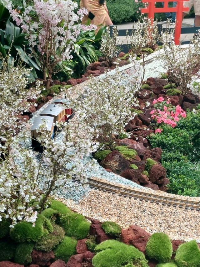 A Captivating Sakura Experience at Gardens by the Bay