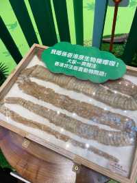 商場有個熱帶樹林！親子好去處！