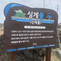 제주 서쪽 코스추천 싱계물 공원 & 춘미향 식당 👍🏻