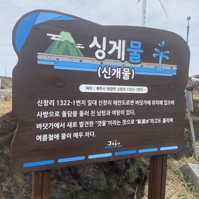 제주 서쪽 코스추천 싱계물 공원 & 춘미향 식당 👍🏻