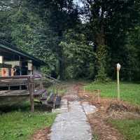 Toughest Climb - Mulu Pinnacles