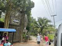 แวะชิมอาหารพื้นเมือง ร้านอาหารเรือนไม้