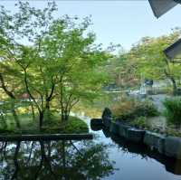 在京都梅小路公園尋找春天的微笑！🌸🌳😊