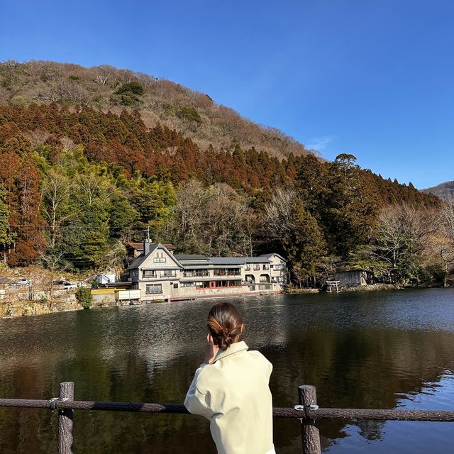 유후인가면 꼭 들러야할 긴린코호수🦢🦢