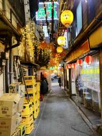 Night out at Tokyo's traditional alleyways 