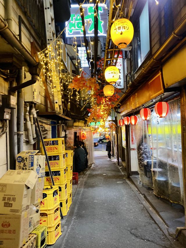 Night out at Tokyo's traditional alleyways 