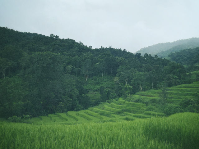 นาขั้นบันได บ้านปางมะโอ จังหวัดเชียงใหม่