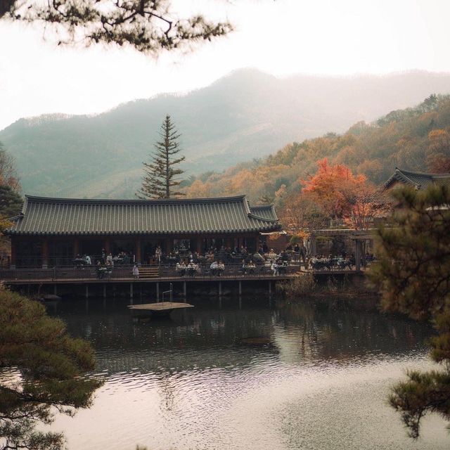 Beautiful Autumn Viewof Hwadam Botanic Garden
